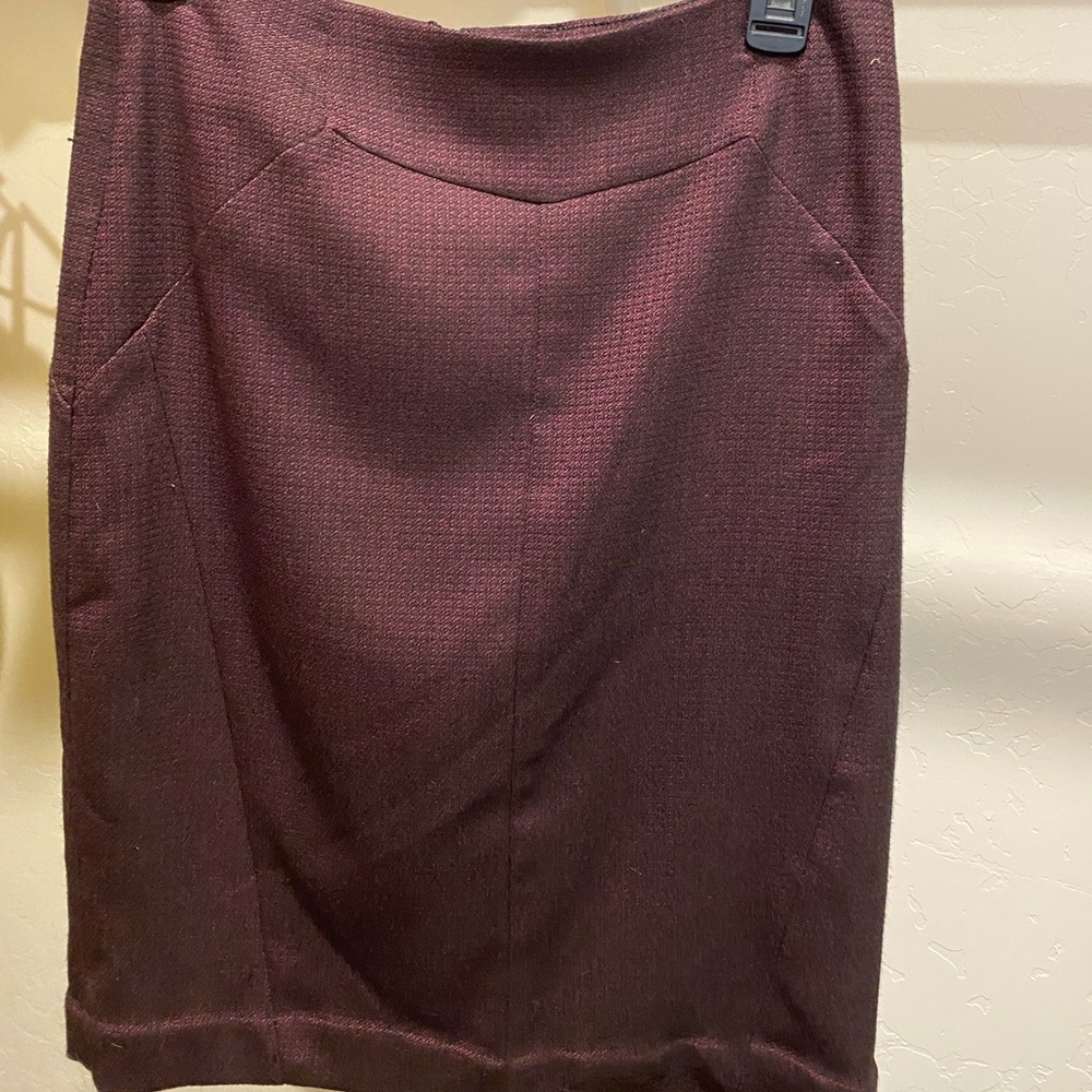 Worthington Lined Skirt